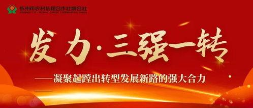 山西忻州农信最新爆料,揭秘忻州农信发展新动向